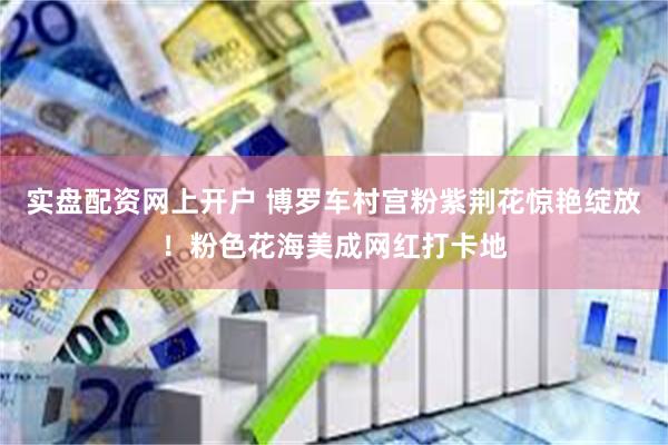 实盘配资网上开户 博罗车村宫粉紫荆花惊艳绽放！粉色花海美成网红打卡地