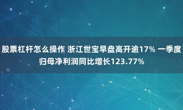 股票杠杆怎么操作 浙江世宝早盘高开逾17% 一季度归母净利润同比增长123.77%