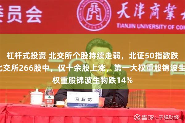 杠杆式投资 北交所个股持续走弱，北证50指数跌超5%！北交所266股中，仅十余股上涨，第一大权重股锦波生物跌14%