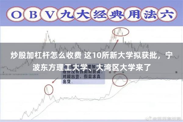 炒股加杠杆怎么收费 这10所新大学拟获批，宁波东方理工大学、大湾区大学来了