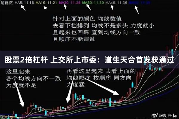 股票2倍杠杆 上交所上市委：道生天合首发获通过