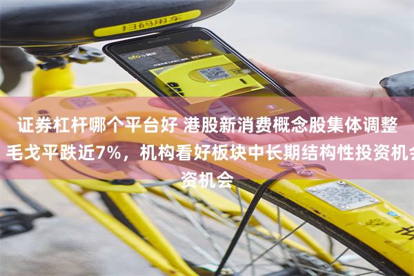 证券杠杆哪个平台好 港股新消费概念股集体调整，毛戈平跌近7%，机构看好板块中长期结构性投资机会